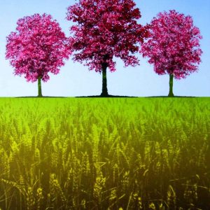 Artwork - Michael Papworth - Three Oaks