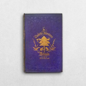 The Wonderful Adventures Of Tuflongbo And His Elfin Company- John Leighton Binding - book