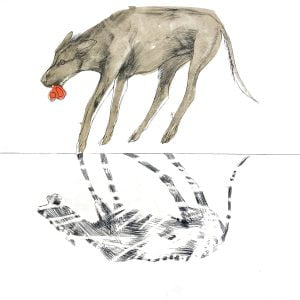 Aesop's Fables: The Dog And The Shadow