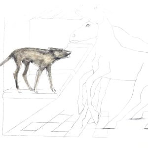 Aesop's Fables: The Dog In The Manger