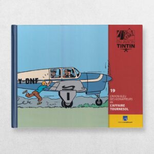 Tintin By Plane - 19 - The Blue Aeroplane Of The Kidnappers In The Calculus Affair - L'Avion Bleu Des Kidnappeurs De L’Affaire Tournesol - En Avion Tintin