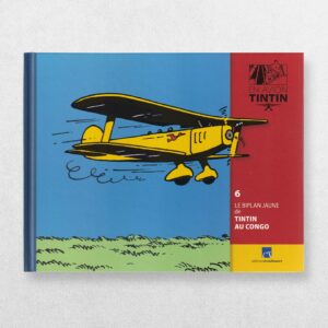 Tintin By Plane - 6 - The Yellow Biplane In Tintin In The Congo - Le Biplan Jaune De Tintin Au Congo - En Avion Tintin