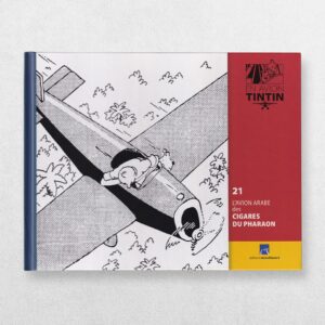 Tintin By Plane - 21 - The Arabian Aeroplane In The Cigars Of The Pharaoh - L'Avion Arabe Des Cigares Du Pharaon - En Avion Tintin