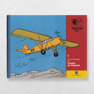 Tintin By Plane - 7 - The Orange Aeroplane In The Cigars Of The Pharaoh - L'Avion Orange Des Cigares Du Pharaon - En Avion Tintin