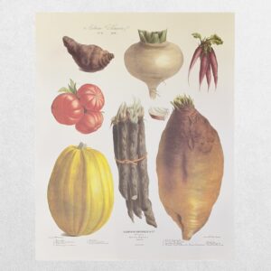 Vilmorin-Andrieux & Cie