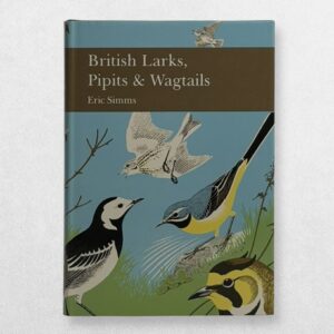 Collins New Naturalist – 78 – British Larks Pipits And Wagtails – First Edition – 1992