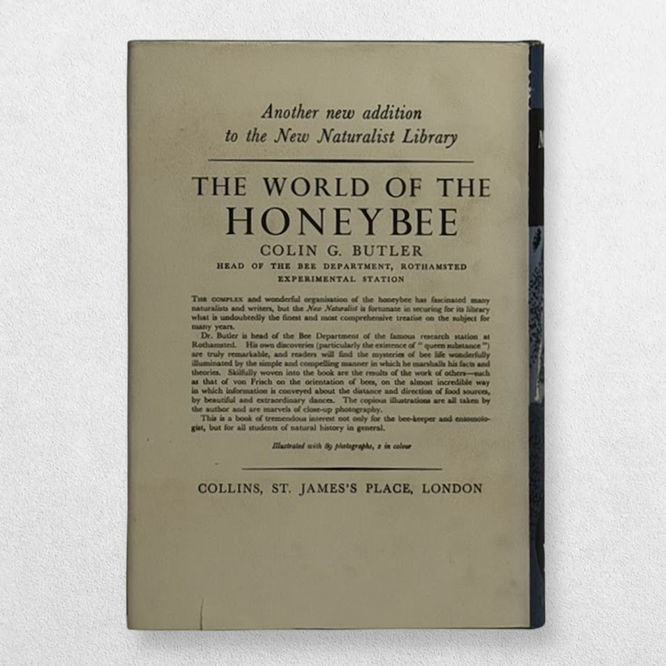 Collins New Naturalist – 30 – Moths – First Edition – 1955 2 Collins New Naturalist – 30 – Moths – First Edition – 1955 - Image 2