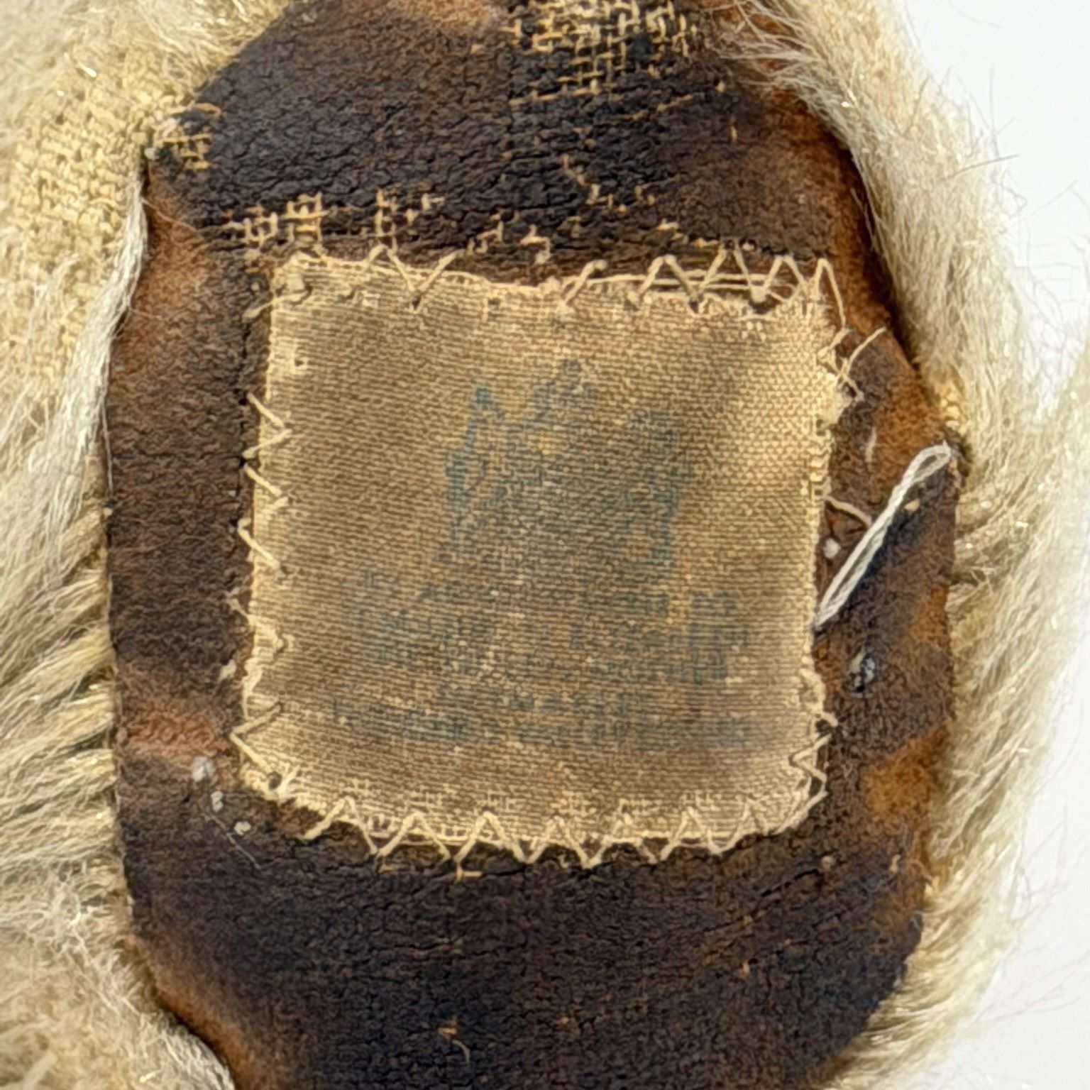 Chad Valley Queen Mother Label Jointed Mohair Teddy Bear, c.1953–1960 8 Chad Valley Queen Mother Label Jointed Mohair Teddy Bear, c.1953–1960