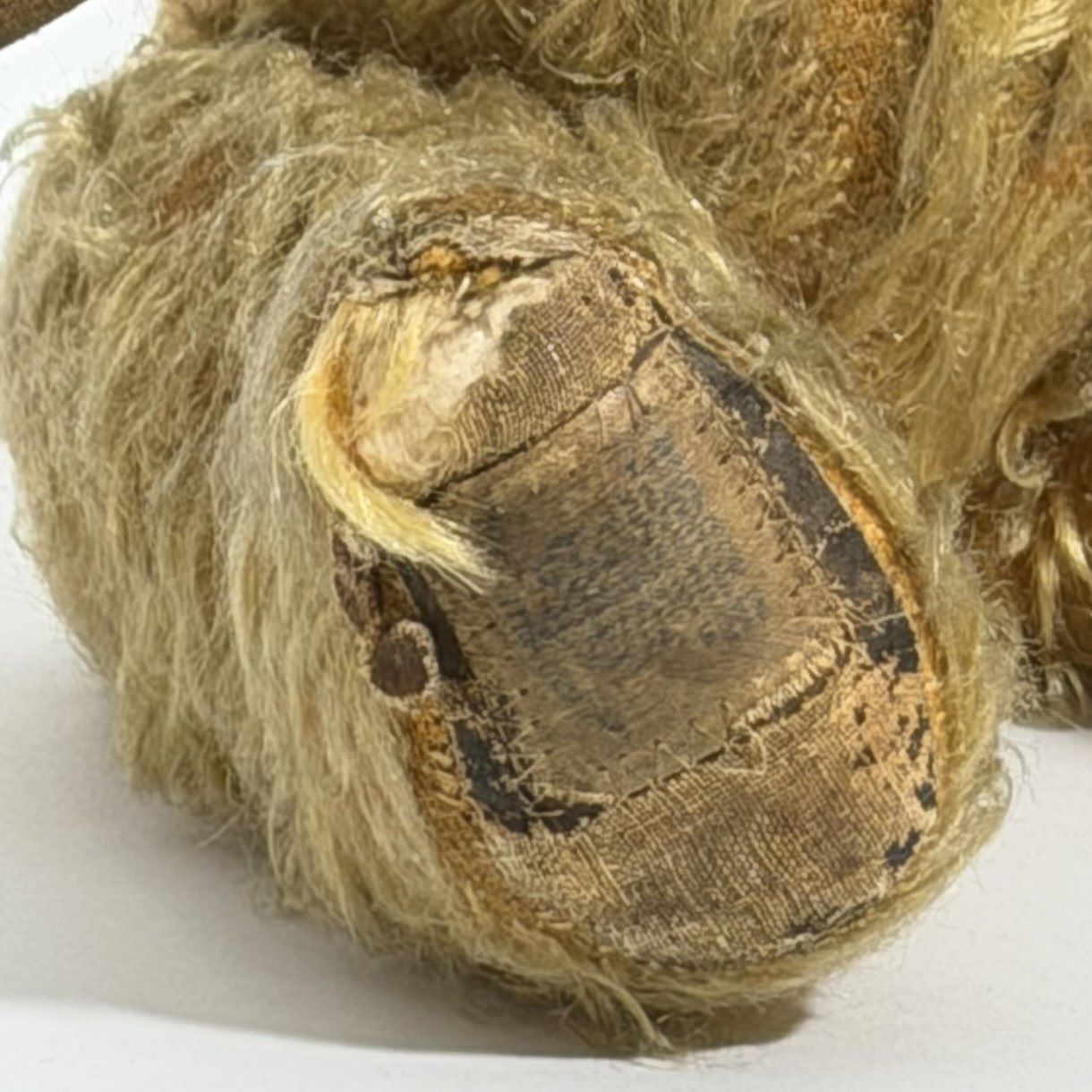 Chad Valley Mohair Teddy Bear with Queen Mother Royal Warrant Label and Growler, c.1953–1960 8 Chad Valley Mohair Teddy Bear with Queen Mother Royal Warrant Label and Growler, c.1953–1960 - Image 8