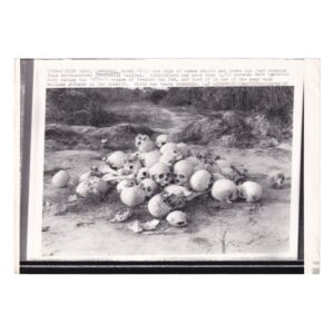 Cambodian Killing Fields - Human Remains Outside Siem Reap - Original Associated Press Wirephoto - 21 April 1980