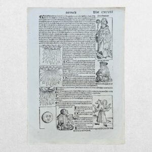 Home 2 HARTMANN SCHEDEL - NUREMBERG CHRONICLE - SAINT BERNARD, MEDIEVAL PRODIGIES & HUMAN-CANINE MONSTER - ORIGINAL GERMAN INCUNABLE WOODCUT LEAF – NUREMBERG - 1493