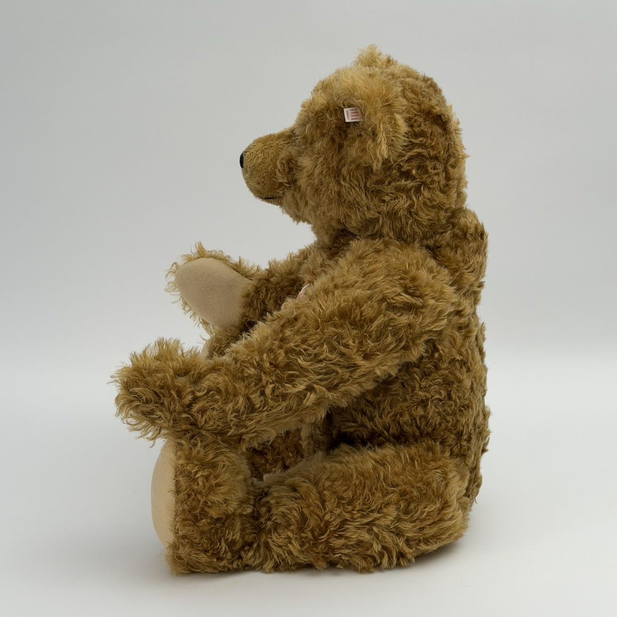 Steiff – EAN 036941 - Ferdinand Teddy Bear 62 cm – Limited Edition 256/1000 – 2011 4 Steiff – EAN 036941 - Ferdinand Teddy Bear 62 cm – Limited Edition 256/1000 – 2011 - Image 4