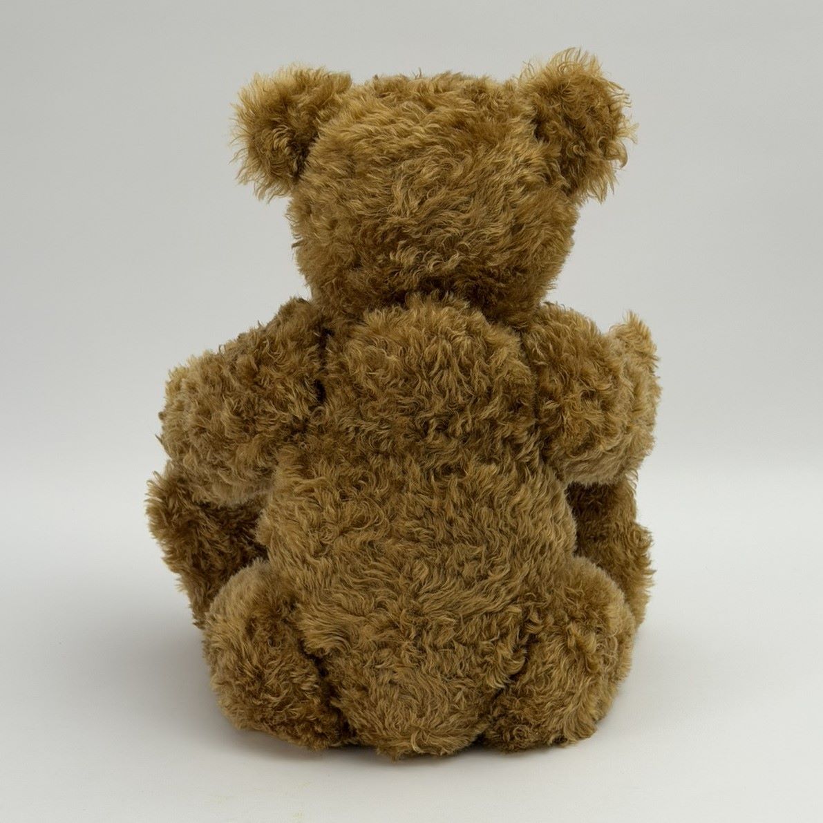 Steiff – EAN 036941 - Ferdinand Teddy Bear 62 cm – Limited Edition 256/1000 – 2011 5 Steiff – EAN 036941 - Ferdinand Teddy Bear 62 cm – Limited Edition 256/1000 – 2011 - Image 5