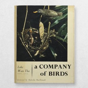 Home 4 Loke Wan Tho – A Company of Birds – Early Asian Ornithological Photography – 1959 Second Impression – Original Dustwrapper – Malcolm MacDonald Foreword
