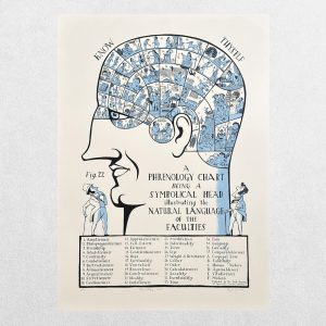 Home 3 Paul Bommer – Phrenology Head – Original Signed Limited Edition Screenprint – Number 12/45